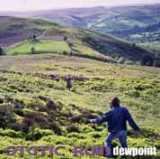 Picture the Dewpoint album cover